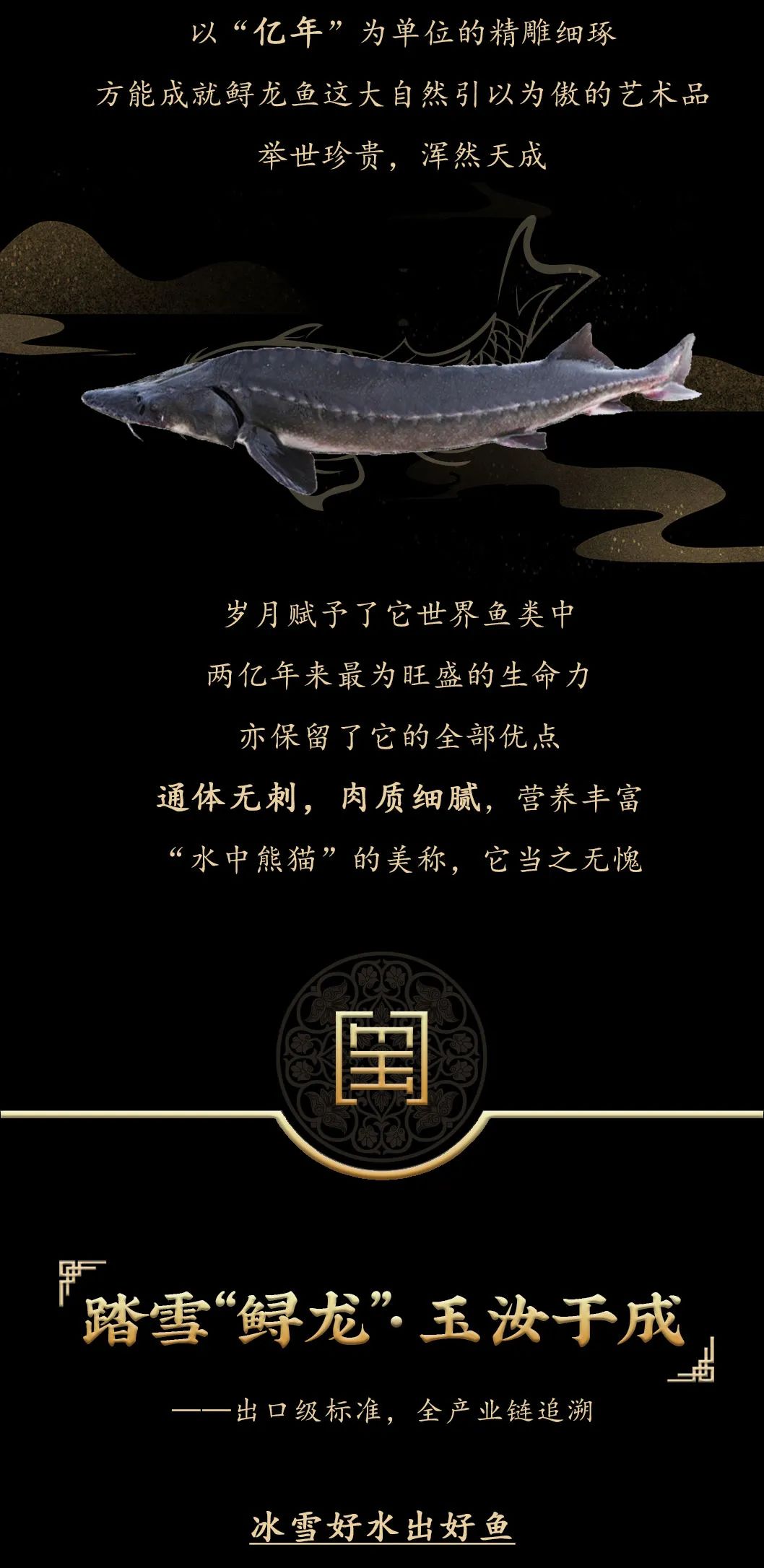 九州鱘龍魚片上新 | 自然臻藏，獻(xiàn)給吃魚有講究的人